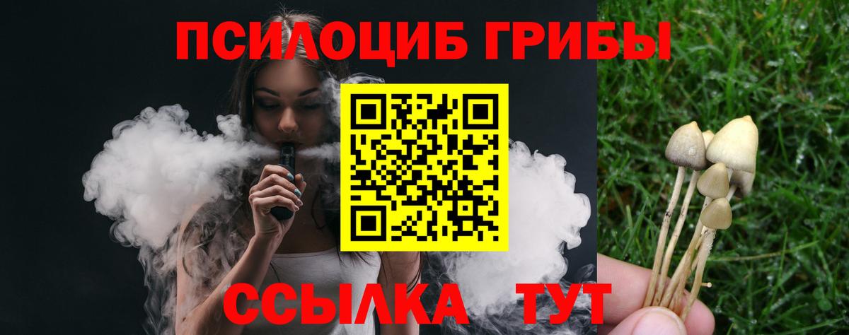 купить закладку  Вход с VPN  Тимашёвск  Псилоцибиновые грибы Cubensis 